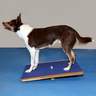 FitPaws Giant Rocker Board Balancebræt